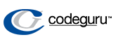 CodeGuru