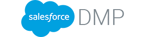 Salesforce DMP